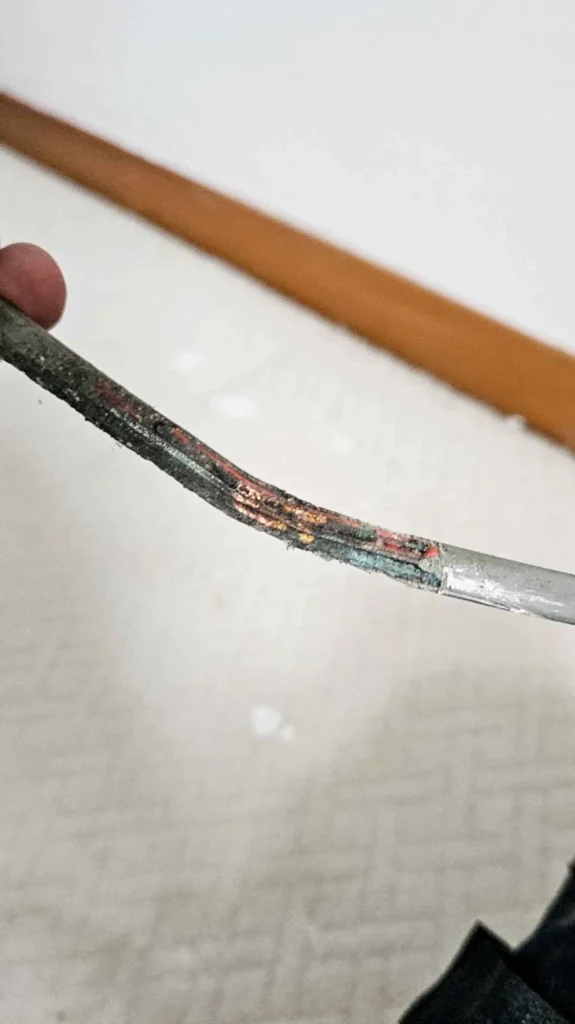 Close-up of an electrical cable with damaged insulation caused by mice, highlighting the importance of electrical safety inspections