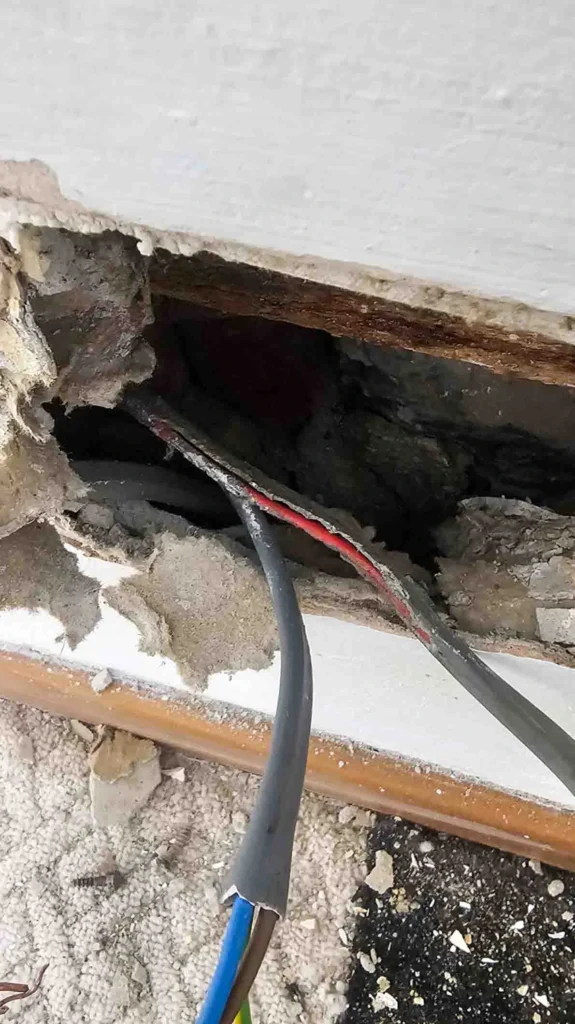 Electrical cables with damaged insulation caused by rodents, highlighting the need for regular testing and inspections to ensure home safety