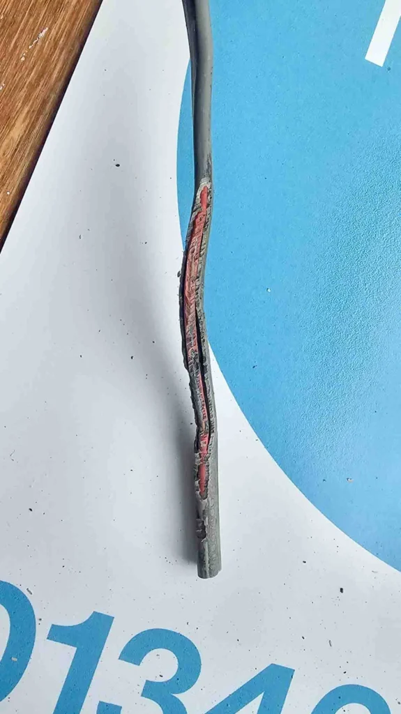 Damaged electrical cable with insulation chewed by mice, exposing copper wires, highlighting the importance of periodic electrical inspections for safety