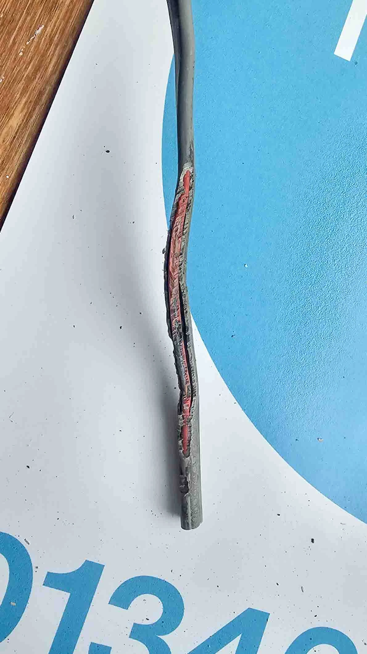 Damaged electrical cable with insulation chewed by mice, exposing copper wires, highlighting the importance of periodic electrical inspections for safety